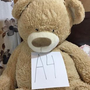 1170110_577151219109055_713819410_n