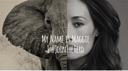 Screen Shot 2016-04-15 at 3.35.12 pm